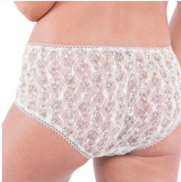 NWT Daydream Nation Wilshire Panty in Floral Mesh Lace Size Medium - Picture 7 of 8